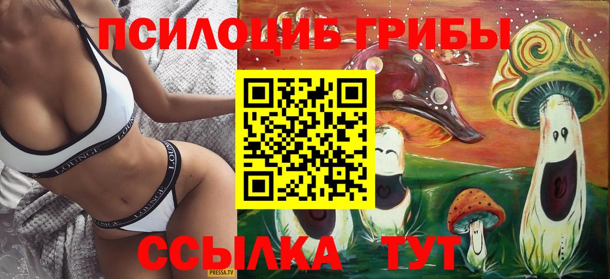 Жуковский  Псилоцибиновые грибы прущие грибы  Вход с VPN 